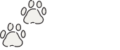 Petchewy