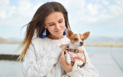 What are the things I need to take care of before adopting a pet?